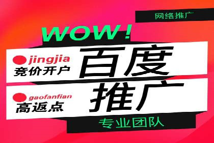 百度竞价包年策略：成功案例解析与经验分享